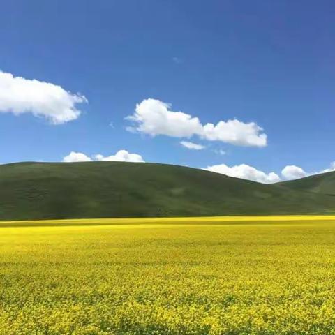 缘聚大美青海，研修路上与你同行
