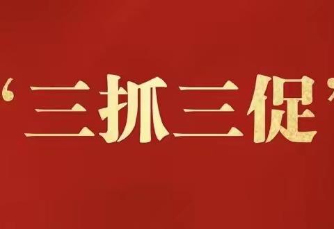 【“三抓三促”行动进行时】后坝社区入户摸查五类户