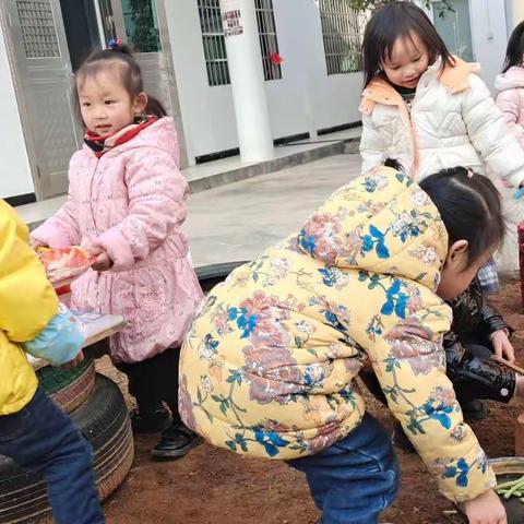 “停课不停学，快乐不延期”🥰--汨罗市长乐幼儿园(中班组)周四活动内容