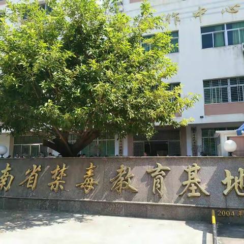 美好生活，远离毒品――海口市滨海第九小学参观海南省禁毒教育基地纪实