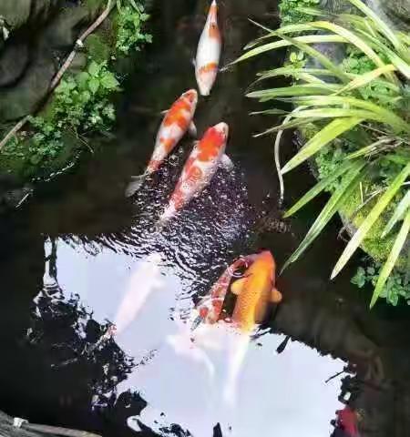 一起相约守望夕阳，留存美好的记忆，描绘多彩的人生