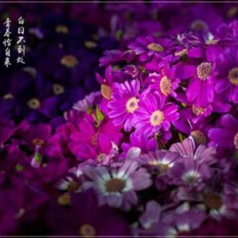 迁安市教研训中心名师跟踪听课、基层调研活动走进建昌营镇第四中心完全小学