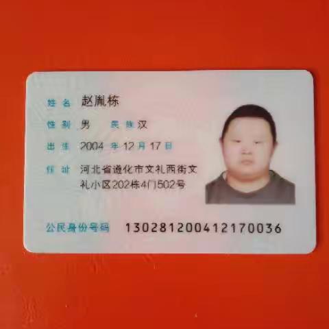 哆啦A梦的心都有的地方