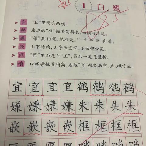 人生聪明写字始——江南五⑩班孩子们开学初的作业记录