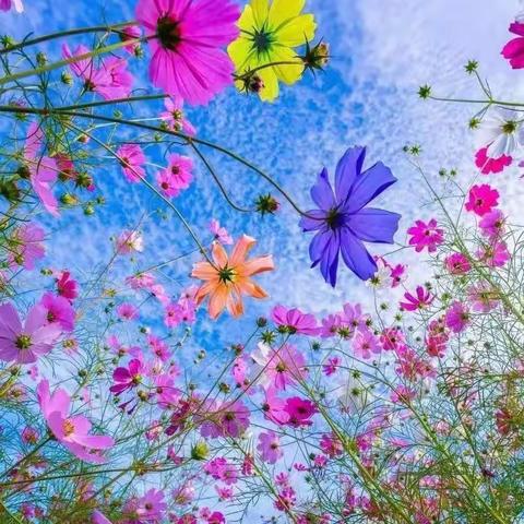 我眼中的最美，不过社区干部