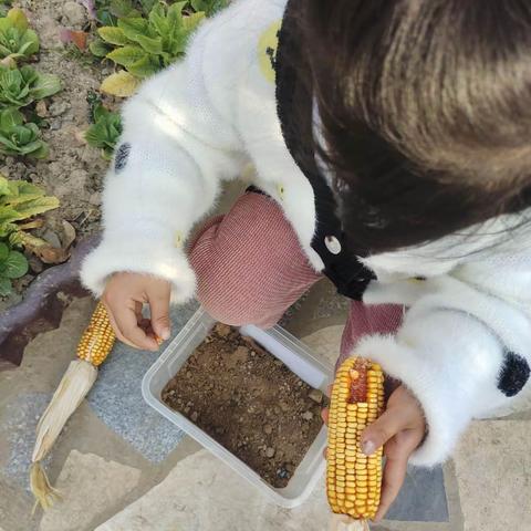 班级幼儿活动