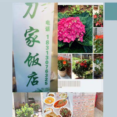 “七星傣寨—芒晃” 刀家饭馆开业了👏👏👏！欢迎您的光临！订餐电话：18313076325