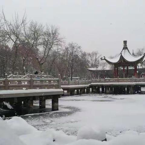 雪中·革命公园之晨2018