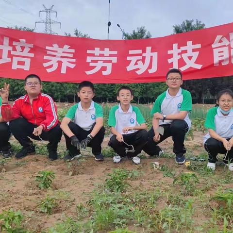 【附中学子这样过暑假】——品味劳动喜悦，感受丰收之美。忻州师院附中初343班学子2022年暑假实践活动小记