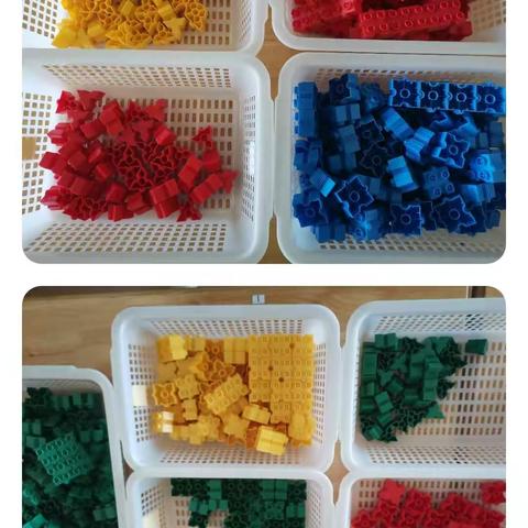 红黄蓝红一班应选区