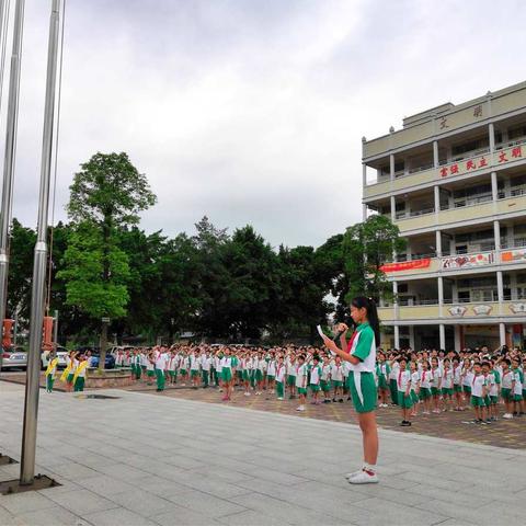 新扬小学开展禁毒宣誓活动