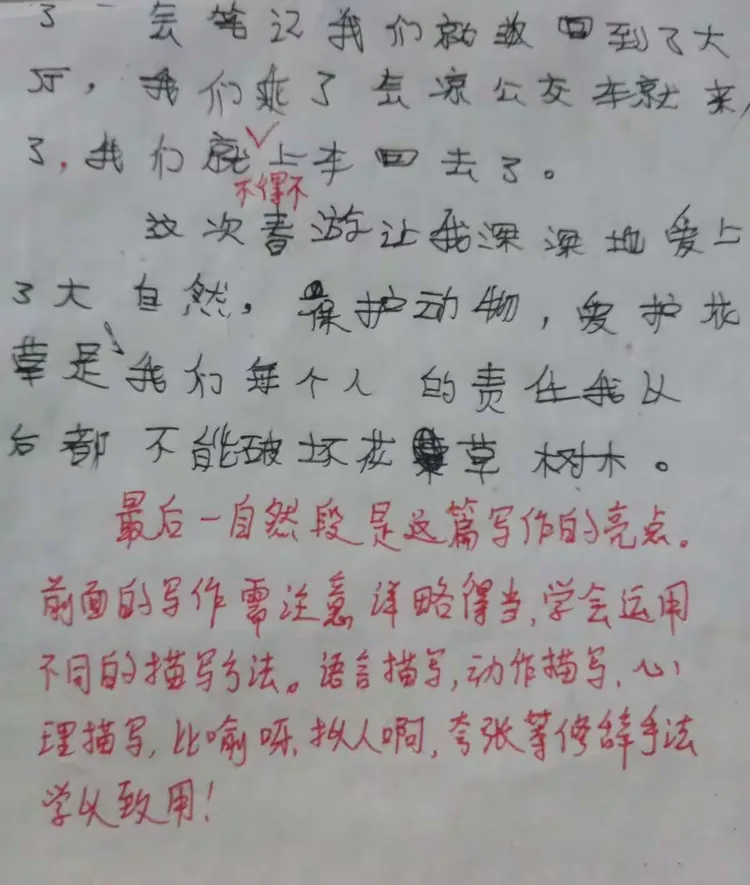 活动后的作文指导