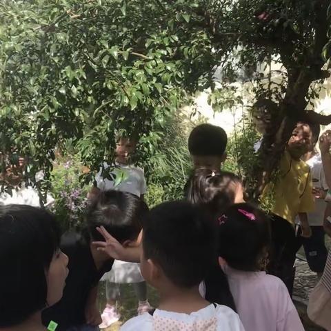 与石榴来场约会