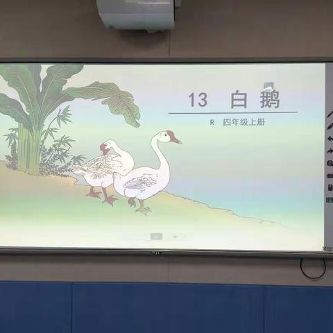 骨干教师曾海杉精彩展示课《白鹅》2017年10月17日