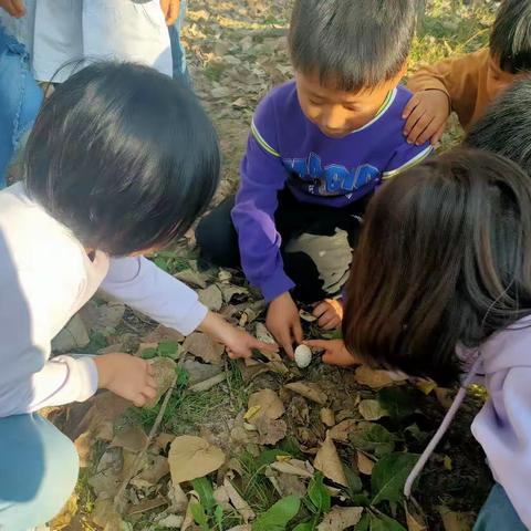 未来星幼儿园——亲近大自然户外活动