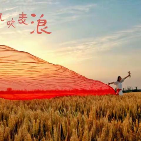 我的美篇