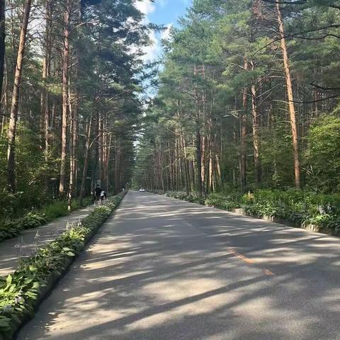 长白山值得去的地方