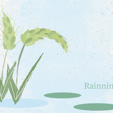 一（2）娃娃数节气——雨水知时节，润物细无声