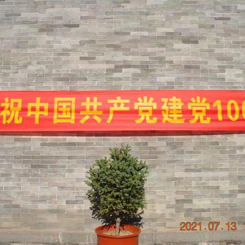 毕家岭村党支部庆祝中国共产党成立100周年党日活动