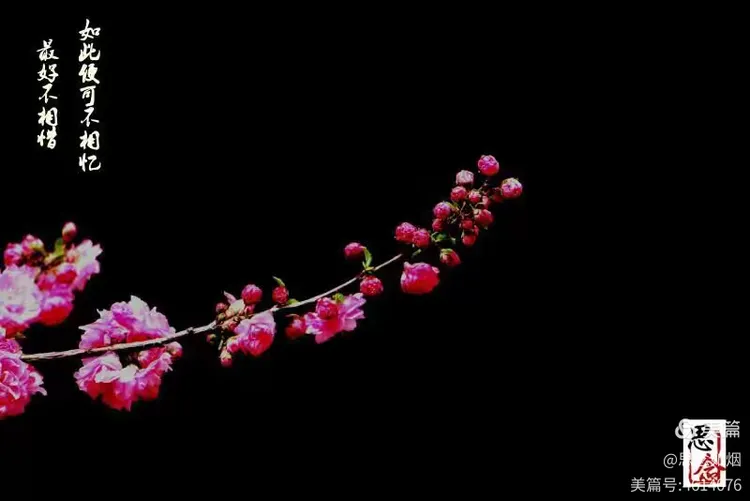 超度朝科百度文档-百度文库ppt生成助手