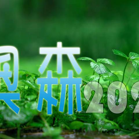 奥森2022