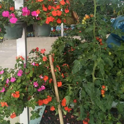 我要进步！所以我要读书！实验小学五年级一班   刁彬焜