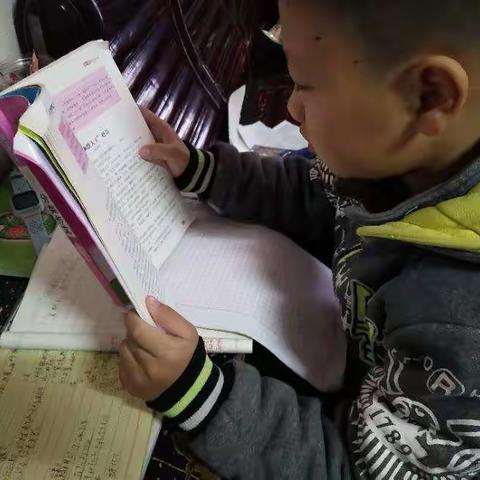 书――知识的海洋！！！五（1）班     刁彬焜