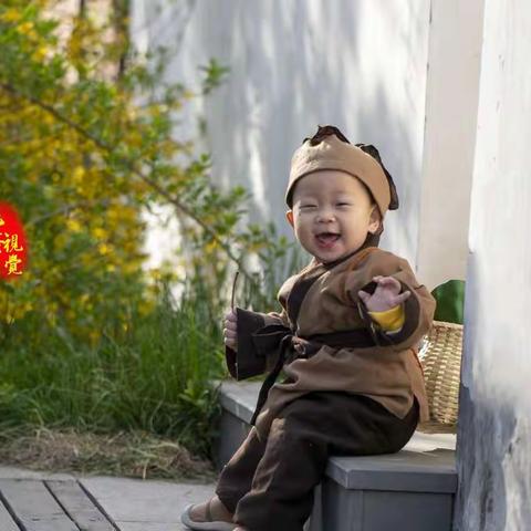 毛蛋一周岁啦！