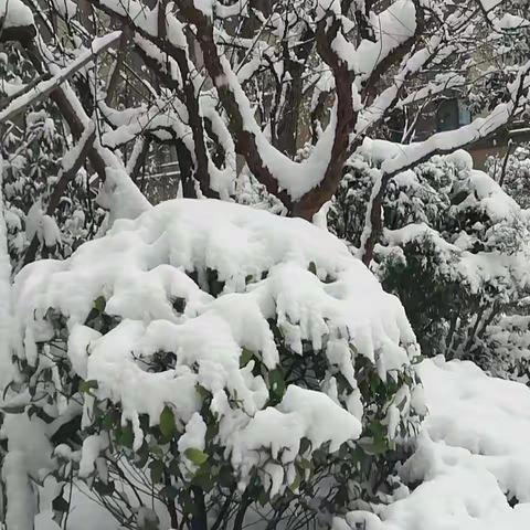 小城的雪