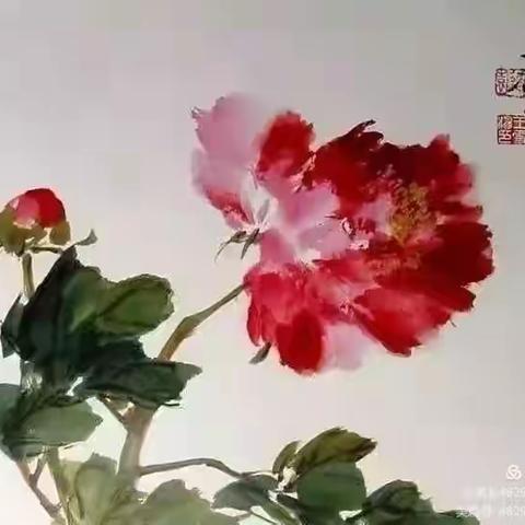 2022.2.9.💕九11班第三阶段作业检查