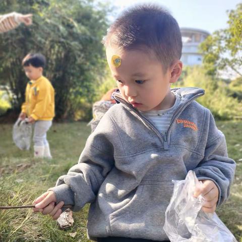 《寻找秋天最美的落叶》