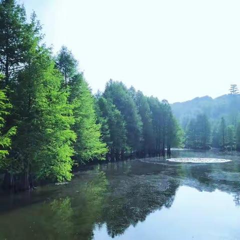 夏日燕雀湖