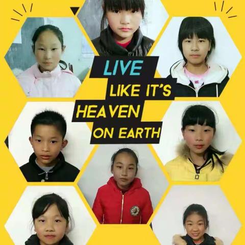 梧桐树下的美篇