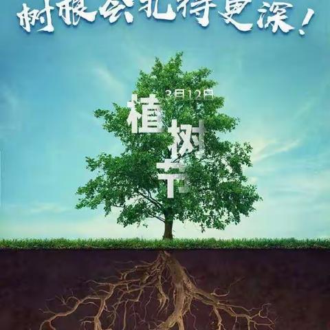 ‘共抗疫情·我与小树共成长’——尹小三年级在行动