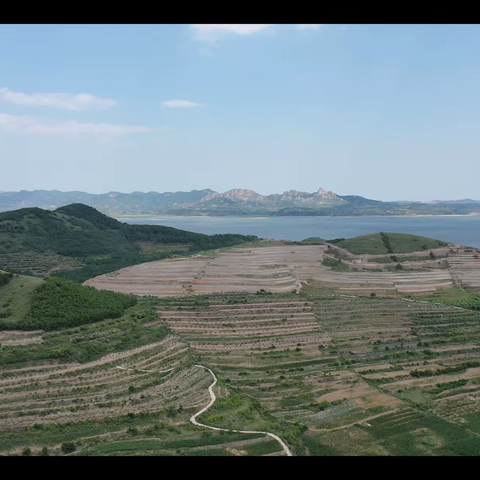 踏着春天的脚步，吹起奋进2022的号角