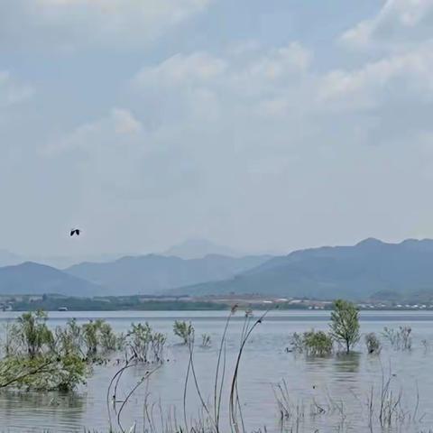 台营镇李各庄:多措并举推进乡村振兴
