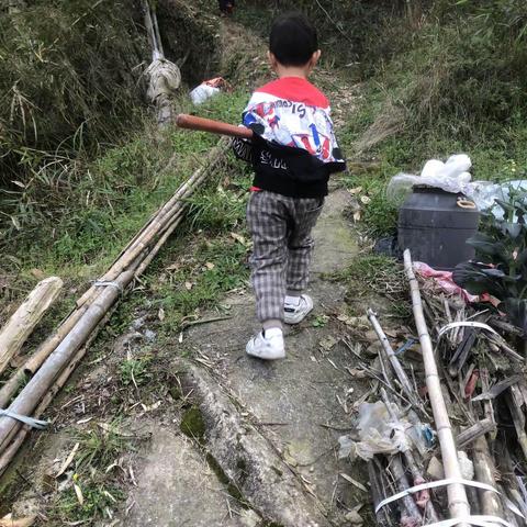 月亮湾小学104班曾俊凯植树节