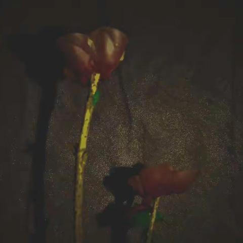 城区二中八四班——李采钰（春节）