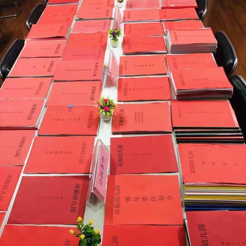 赴全力、迎检查、促发展 ——双娟幼儿园迎接“千园达标”评估验收新动态