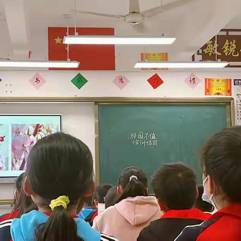 夏天的风，唤醒了教研之花——记禾源中心小学“活力生态”高效课堂交流研讨活动