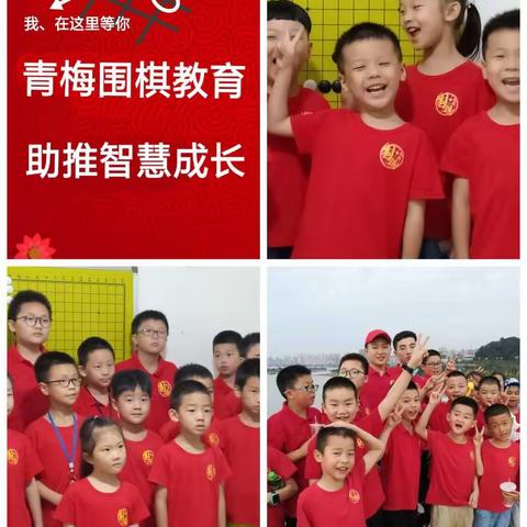 青梅围棋我们的成长