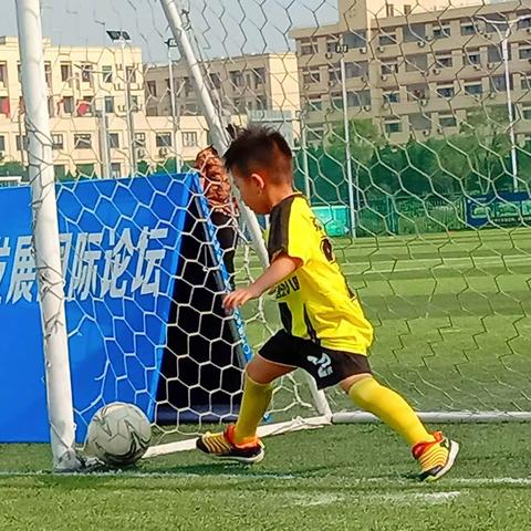 “驼鸟杯”幼儿足球赛20190616（副本）