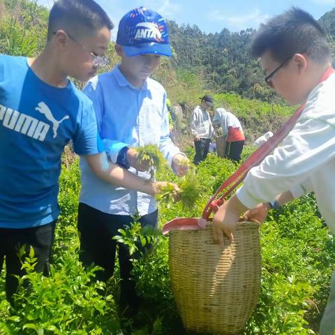 五一|| 相约大自然：游山玩水、采茶野趣、烟花秀露营趴活动纪实