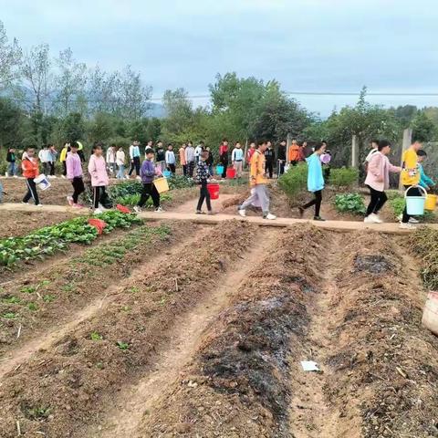 一分耕耘一分收获