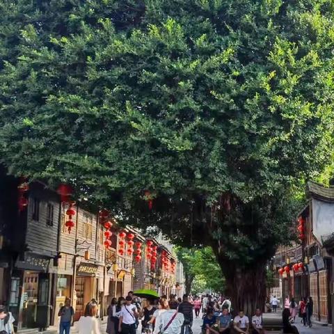 福州霞浦五日游记