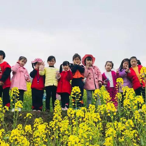 春天在哪里？春天在这里！