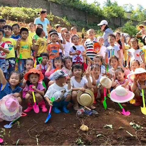 孩子们，我们挖凉薯去咯……