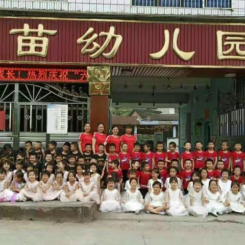 新苗幼儿园2019年中一班期末总结