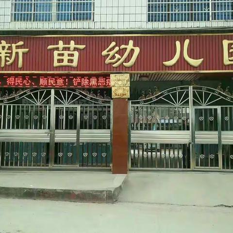 新苗幼儿园中一班期末总结