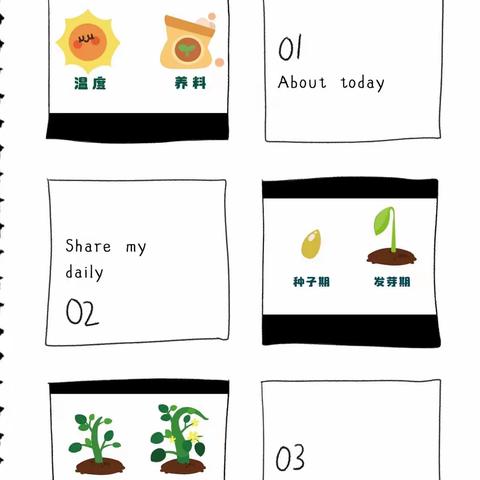 “水培植物，为幼儿园增添一份绿”—金桂苑幼儿园小一班种植活动